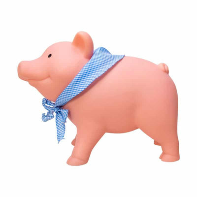 RUBBER PIGGY BANK- Alcancia de goma