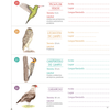 Libro Conociendo las aves del Uruguay